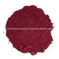 Bulk beet root powder supplier